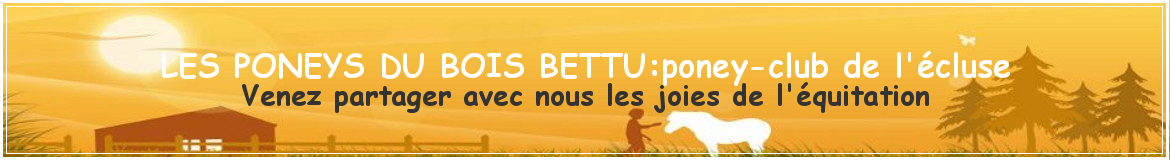 LES PONEYS DU BOIS BETTU:poney-club de l'écluse